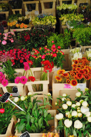 Flowers for sale in Amsterdam The Netherlandsの写真素材