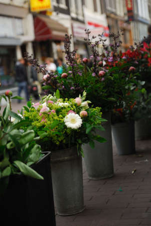 Flowers for sale in Amsterdam The Netherlandsの写真素材