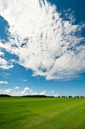 Summer background with fresh green grass and bright blue sky の写真素材