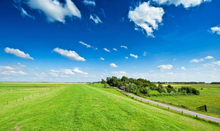Summer background with fresh green grass and bright blue sky の写真素材