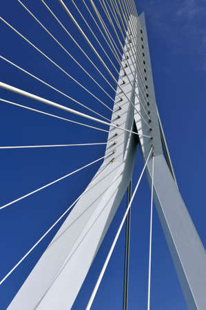Erasmus bridge in Rotterdam the Netherlands, Europeの写真素材