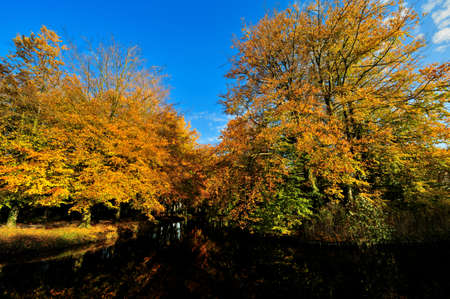 Beautiful autumn colors in the Netherlandsの写真素材