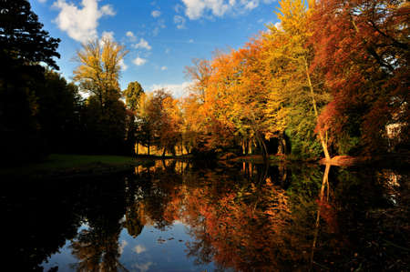 Beautiful autumn colors in the Netherlandsの写真素材