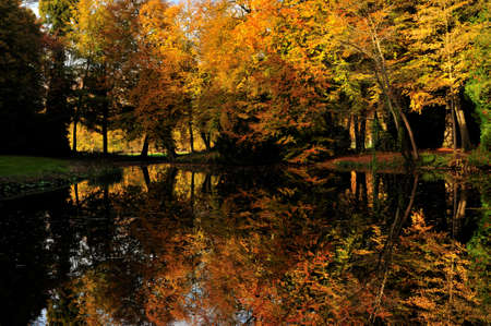 Beautiful autumn colors in the Netherlandsの写真素材