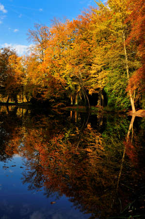 Beautiful autumn colors in the Netherlandsの写真素材