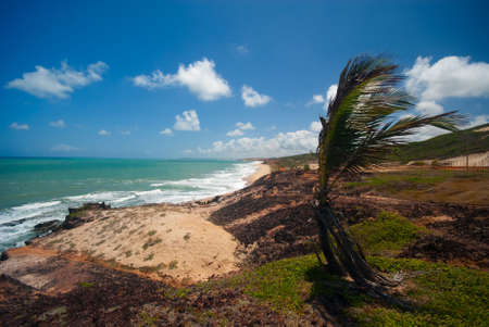 Cliffs and beach at Praia das Minas near Pipa Brazilの写真素材