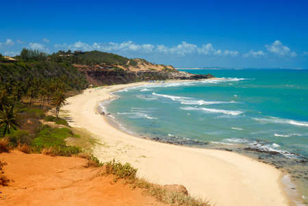 Beautiful beach with palm trees at Praia do Amor near Pipa Brazilの写真素材
