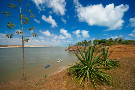 Tropical coast of Tibau do Sul near pipa brazilの写真素材