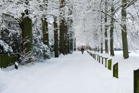 Beautiful winter landscape in the Netherlands ( Elswout Overveen)の写真素材