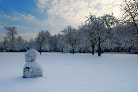 Beautiful winter landscape in the Netherlands ( Elswout Overveen)の写真素材