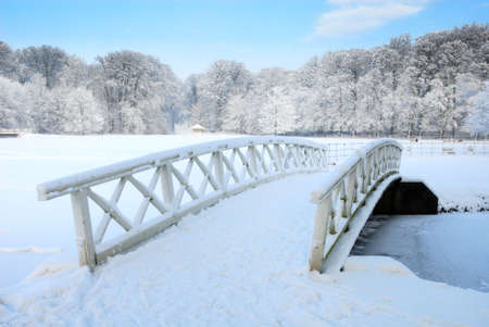 Beautiful winter landscape in the Netherlands ( Elswout Overveen)の写真素材