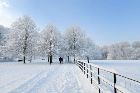 Beautiful winter landscape in the Netherlands ( Elswout Overveen)の写真素材