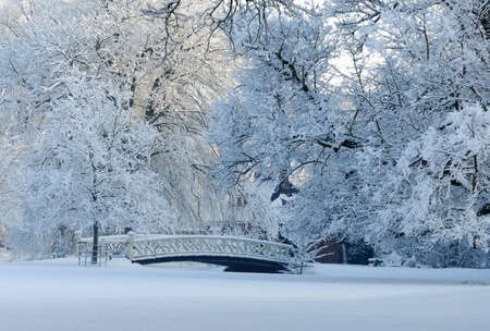 Beautiful winter landscape in the Netherlands ( Elswout Overveen)の写真素材