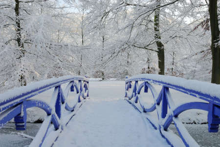 Beautiful winter landscape in the Netherlands ( Elswout Overveen)の写真素材