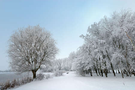 Beautiful winter landscape in the Netherlands (Spaarnwoude Haarlem )の写真素材