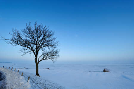 Beautiful winter landscape in Enkhuizen the Netherlandsの写真素材