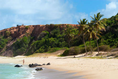 Beautiful beach with palm trees at Praia do Amor near Pipa Brazilの写真素材