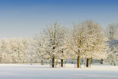 Beautiful winter landscape in the Netherlands ( Elswout Overveen) の写真素材