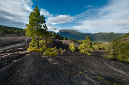 Beautiful lava landscape on the Cumbre Nueva in La Palma, Canary islands, Spainの写真素材