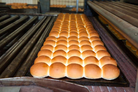 buns of bread being made in a factory の写真素材