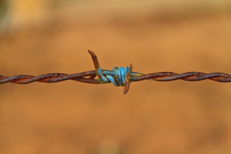 Close-up rust barbed wire