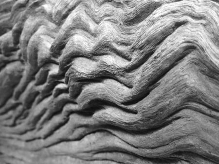 Gray of wood grain
