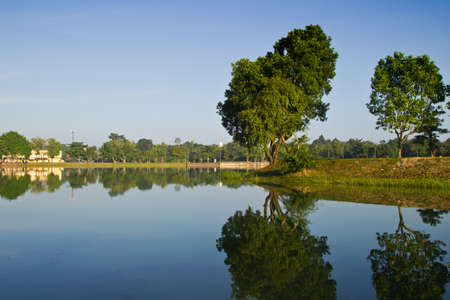 Tree by the river Landscape, thailand, Asiaの写真素材