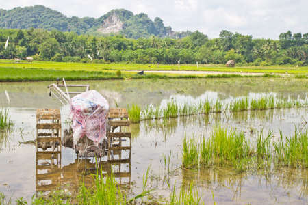 vintage plows used to plow the field in farm riceの写真素材