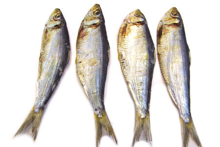 view Four dry medium fishes on a white backgroundの写真素材