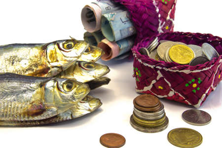 save money whit Dried Fish on white background conceptの写真素材