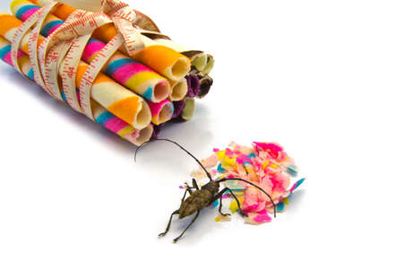 Colorful candy and insect  concept on white background の写真素材