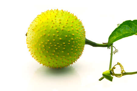 gac fruit with leaf isolated on white background の写真素材