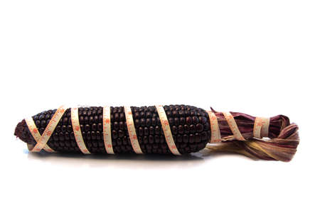 Purple corn around Tape on white background の写真素材