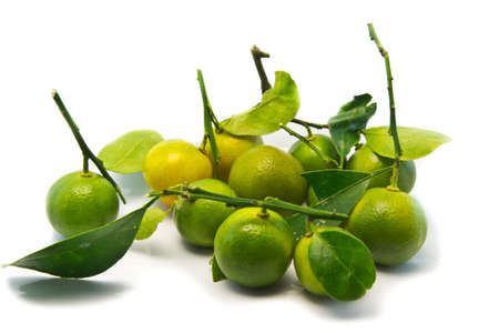 fresh oranges fruits isolated on white の写真素材