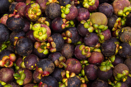 Background from tropical fruit - Purple mangosteenの写真素材