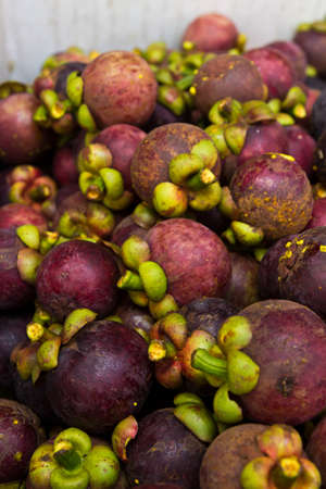 Fresh mangosteen fruit pile in the marketの写真素材