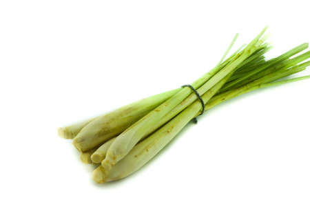 Fresh Lemon Grass isolated on white backgroundの写真素材