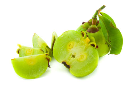 garcinia Cambogia isolated on white background with pathの写真素材
