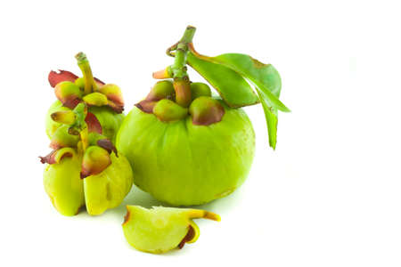 garcinia Cambogia isolated on white background with pathの写真素材