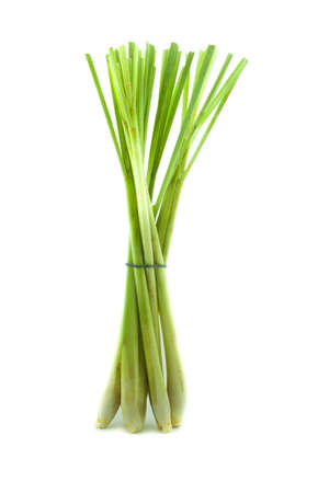 Fresh Lemon Grass isolated on white backgroundの写真素材