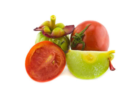 Fresh red tomatoes and garcinia isolated on whiteの写真素材