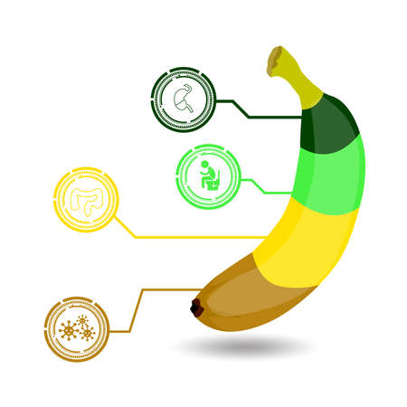 Health benefits of banana infographics.illustration.のイラスト素材