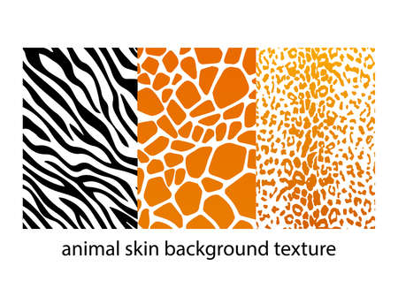 animal skin texturesのイラスト素材