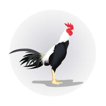 2017 Chinese New Year of the Rooster.のイラスト素材