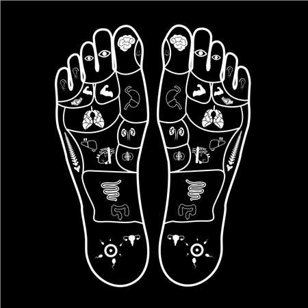foot massage print for body parts guideのイラスト素材