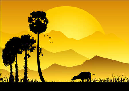 Silhouette of Asian farmer climbing sugar palm in the garden,on natural backgroundのイラスト素材