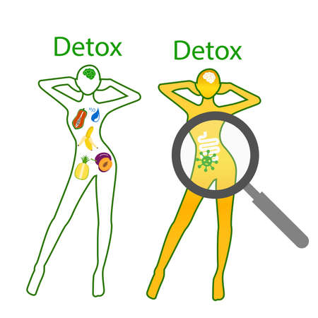 illustration of fruit forming slim lady with magnifying glassのイラスト素材