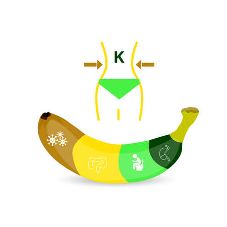 Health benefits of banana infographics illustration.のイラスト素材