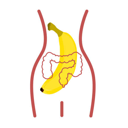illustration of banana farming slim lady with detox intestineのイラスト素材