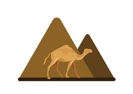 Camel icon. Cartoon illustration of camel on pyramid background.のイラスト素材